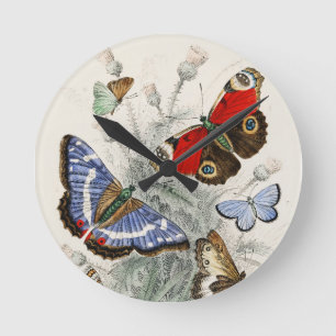 Vintage-Schmetterling-Botanische Wissenschaftliche Runde Wanduhr