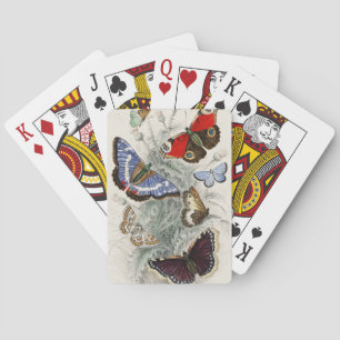 Vintage-Schmetterling-Botanische-wissenschaftliche Spielkarten