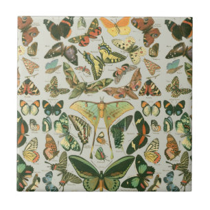 Vintage-Schmetterling-Motte-Musterdruck Fliese