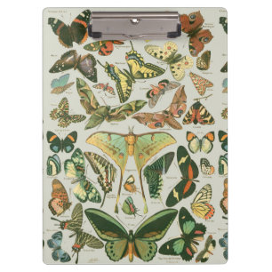 Vintage-Schmetterling-Motte-Musterdruck Klemmbrett