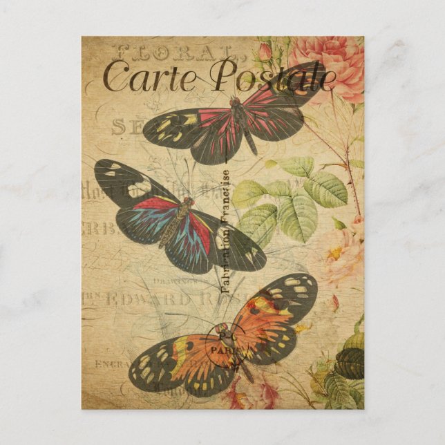 Vintage Schmetterlinge Blumenkohl Blume Französisc Postkarte (Vorderseite)