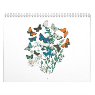 Vintage Schmetterlinge Botanischer Kalender