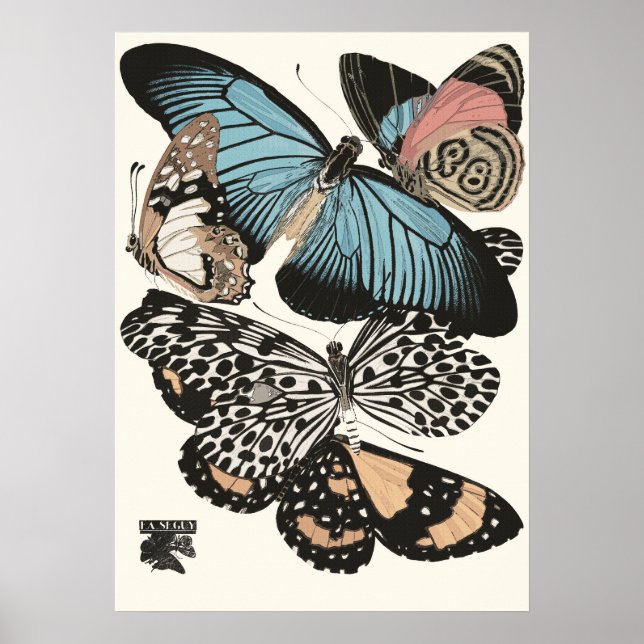 Vintage Schmetterlinge E.A. Séguy Poster (Vorne)