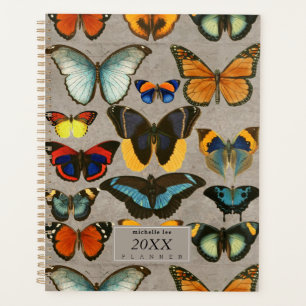 Vintage Schmetterlinge Entomologie Farbenfrohe Bio Planer