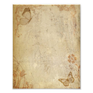 Vintage Schmetterlinge Fotodruck