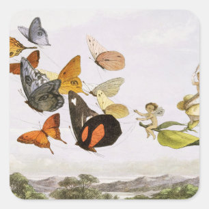 Vintage Schmetterlinge & Märchen Alte Illustration Quadratischer Aufkleber