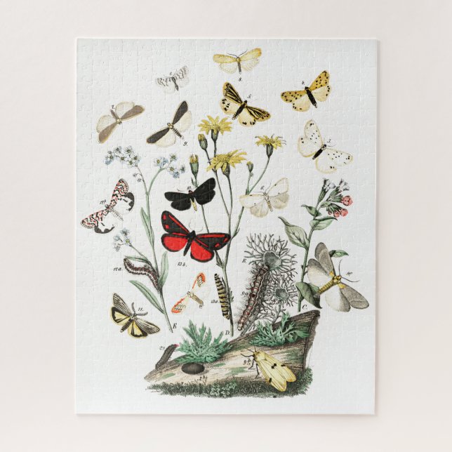Vintage Schmetterlinge & Moths Illustration Art Puzzle (Vertikal)