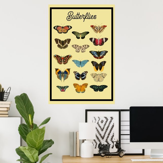 Vintage Schmetterlinge Poster (Heimbüro)