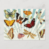 Vintage Schmetterlinge
