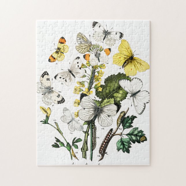 Vintage Schmetterlinge Puzzle (Vertikal)