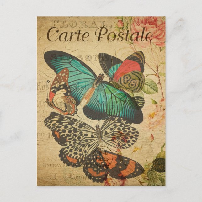 Vintage Schmetterlinge und Moth French Postkarte (Vorderseite)