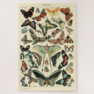 Vintage Schmetterlinge von Adolphe Millot Poster Puzzle
