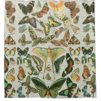 Vintage Schmetterlings-Motten-Musterdruck
