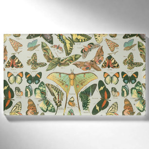 Vintage Schmetterlings-Motten-Musterdruck Namenschild