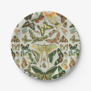 Vintage Schmetterlings-Motten-Musterdruck Pappteller