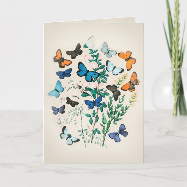 Vintage Schmetterlingsfarbe Karte (Vorderseite)