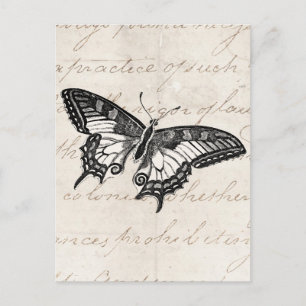 Vintage SchmetterlingsIllustration der Schmetterli Postkarte