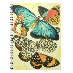Vintage-Schmetterlingskunst Schmetterlinge Journal Notizblock