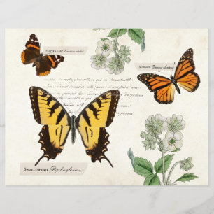 Vintage Schmetterlingsmarine Frack Monarchen Malt 