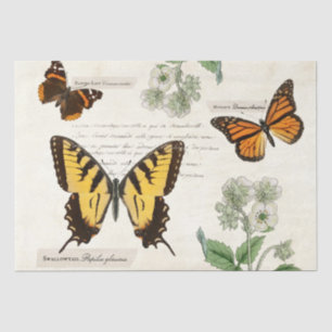 Vintage Schmetterlingsmarine Frack Monarchen Malt Seidenpapier