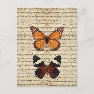 Vintage Schmetterlingssammlung Postkarte