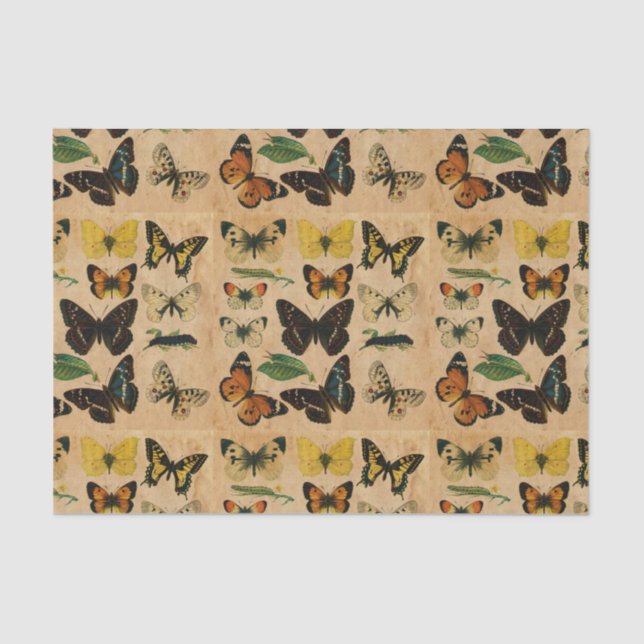 Vintage Schmetterlingssammlungen Dekoupage Seidenpapier (Vorderseite)