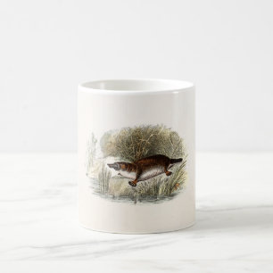 Vintage-Schnabeltier-Illustration aus dem 19. Jahr Tasse