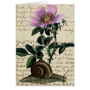 Vintage-Schnecke-und-Blumen-Digital-Art-Collage