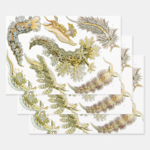 Vintage Schnecken und Meeresrauschen von Ernst Hae Geschenkpapier Set