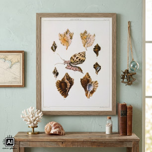 Vintage Schnecken und Mollusken, Meeresorganismen Poster