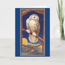Vintage Schneeeule-Abbildung Karte