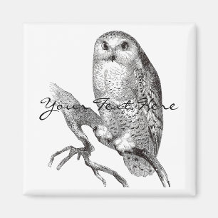 Vintage-Schneeeule-Magnet Magnet