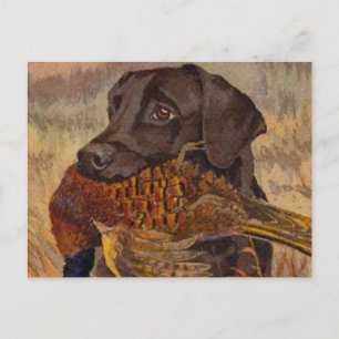 Vintage Schokoladenjagd Labrador Postkarte