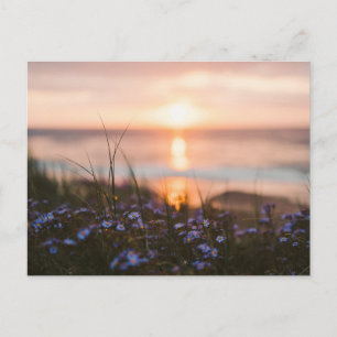 Vintage schöne Insel-Strand-Sonnenuntergangspostka Feiertagspostkarte