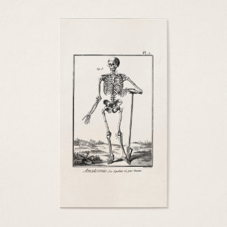 Vintage Schotterzucht Anatomie des menschlichen Sk