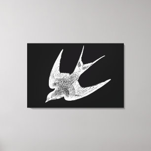 Vintage-Schwalben-Illustration - Antiker Vogel aus Leinwanddruck