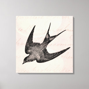 Vintage-Schwalben-Illustration - Antiker Vogel aus Leinwanddruck