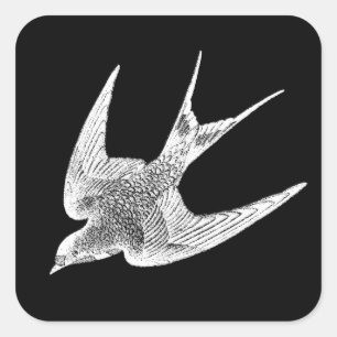 Vintage Schwalben-Illustration - antiker Vogel Quadratischer Aufkleber