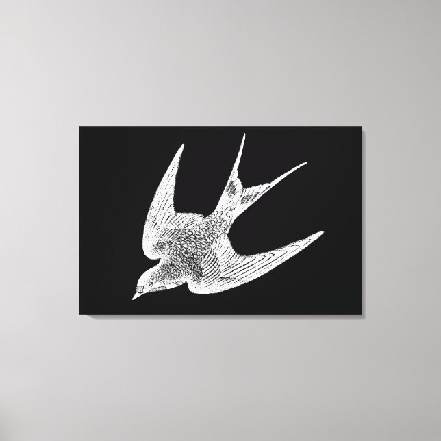 Vintage Schwalbenabbildung - Antiquitätenvogel aus Leinwanddruck (Vorderseite)