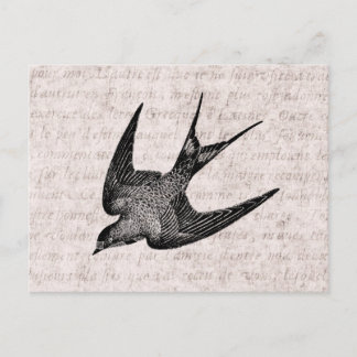 Vintage Schwalbenabbildung - Antiquitätenvogel aus Postkarte