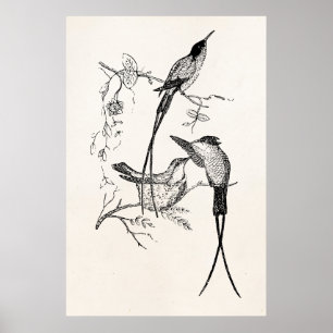 Vintage Schwalbenschwanz Kolibris Personalisierter Poster
