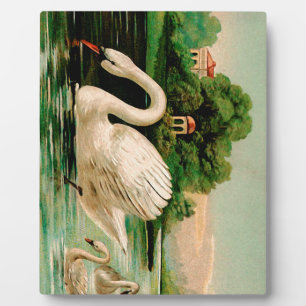 Vintage Schwan im See Fotoplatte