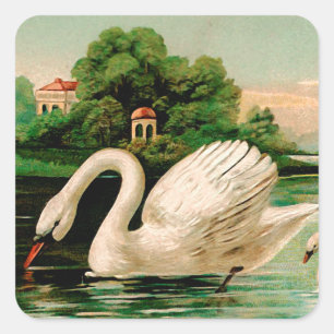 Vintage Schwan im See Quadratischer Aufkleber