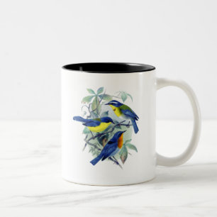 Vintage Schwangvögel Bekleidung und Geschenke Zweifarbige Tasse