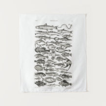 Vintage Schwarz-Weiß-Fische, Ozeane, Ichthyologe