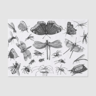 Vintage Schwarz-Weiß-InsektenCollage, Pt 2 Seidenpapier