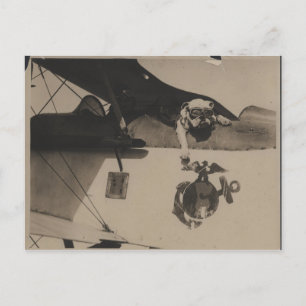 Vintage Schwarz-Weiß-Militär-Bulldogge-Luftfahrt Postkarte