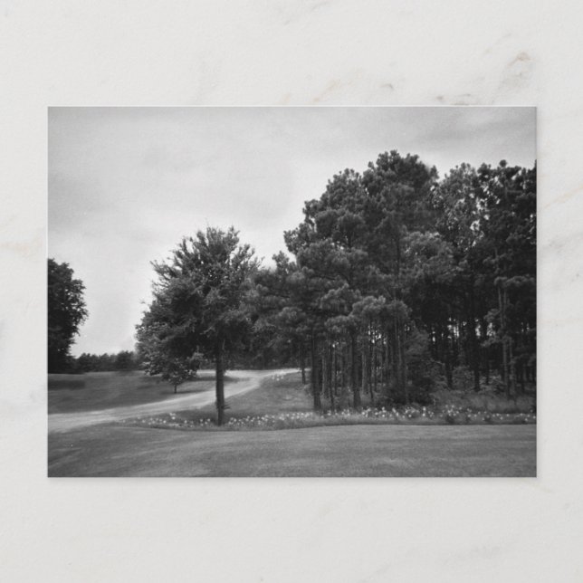 Vintage Schwarz-Weiß-Wälder-Postkarte Postkarte (Vorderseite)