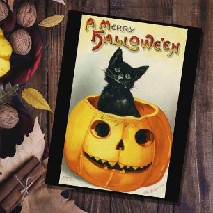 Vintage schwarze Halloween-Katze in einem Kürbis Postkarte