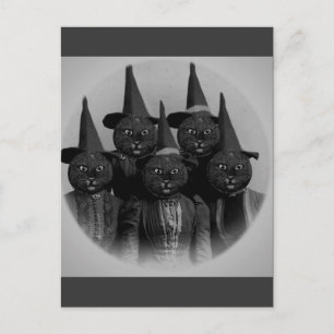 Vintage schwarze Katze/Hexen Postkarte